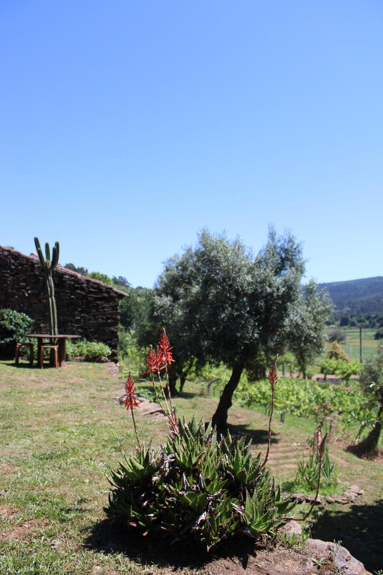 Lugar Da Lourida Villa Caminha Kültér fotó